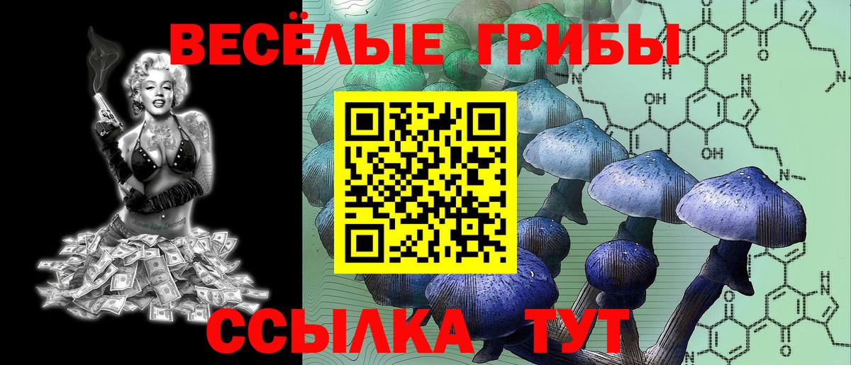 Псилоцибиновые грибы мицелий  где купить наркоту  Евпатория  Псилоцибиновые грибы мухоморы  Вход с VPN 